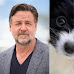 Actor Russell Crowe Says His Dog Died in His Arms After Being Hit By a Truck